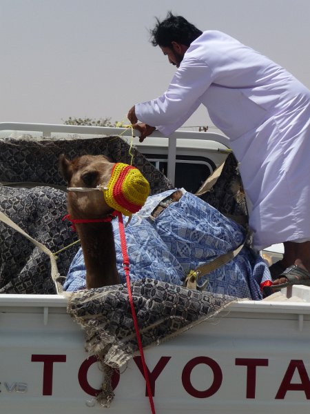 Oman 05 2011 (68).JPG